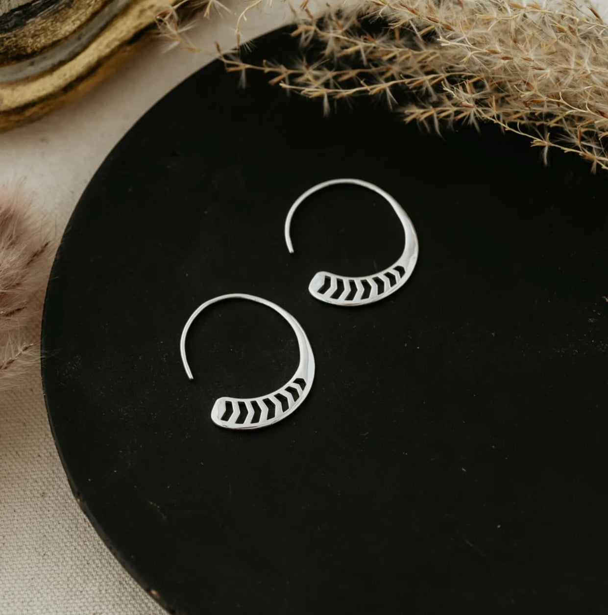 Cambria hoops