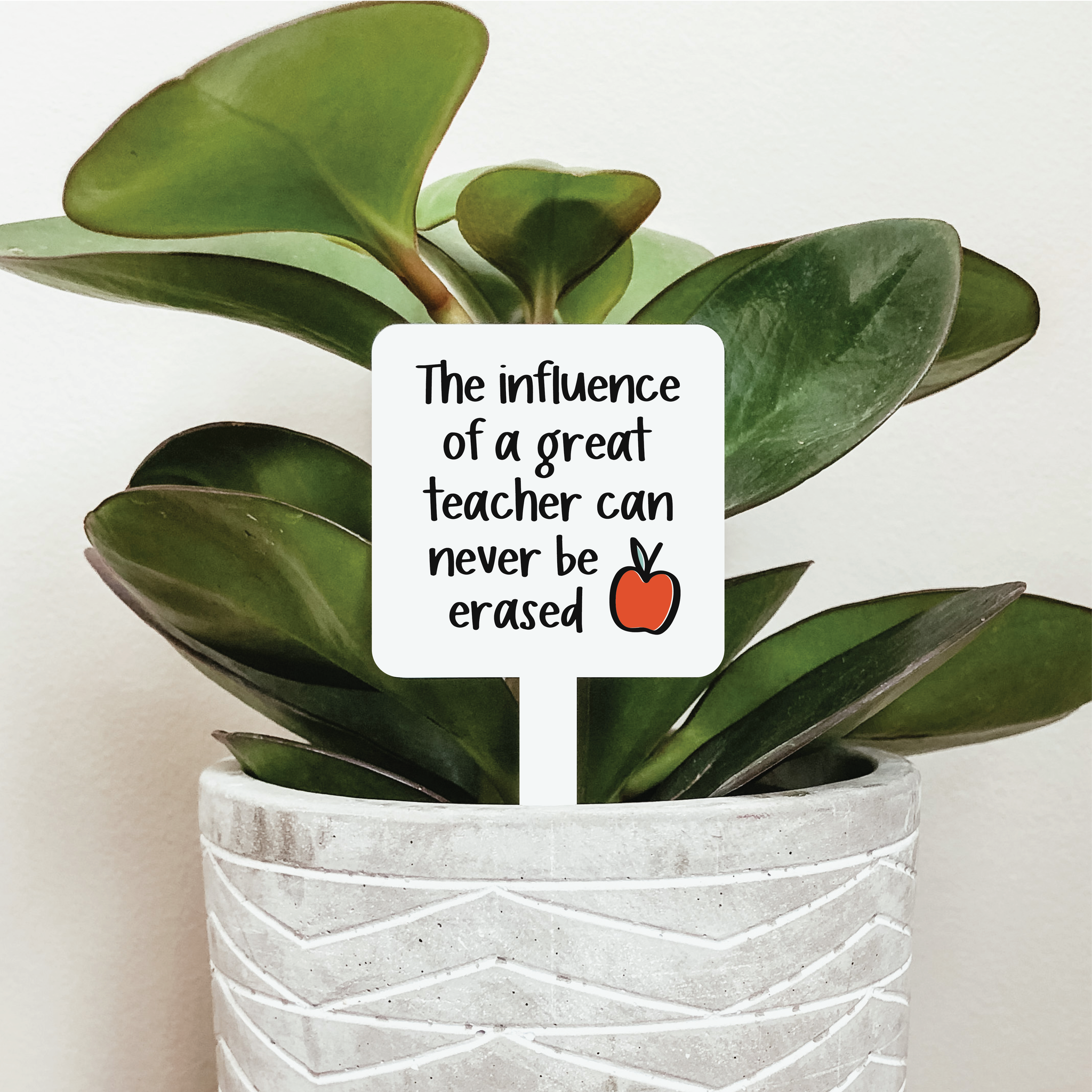 The Influence Of A Great Teacher Plant Stake