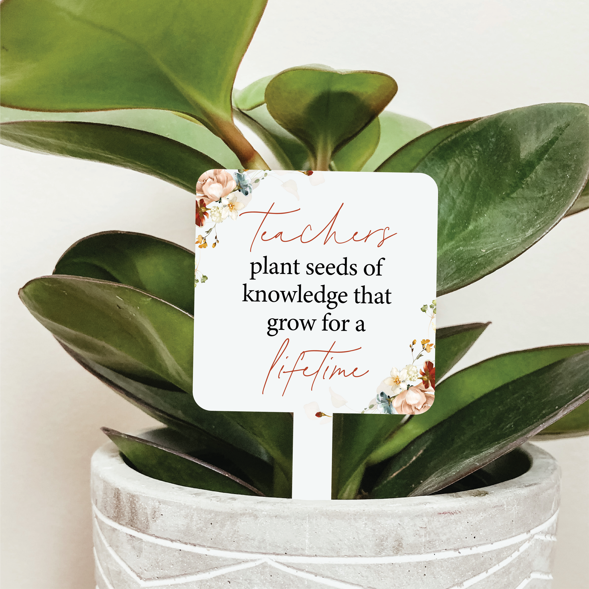 Teachers Plant Seeds of Knowledge Plant Marker