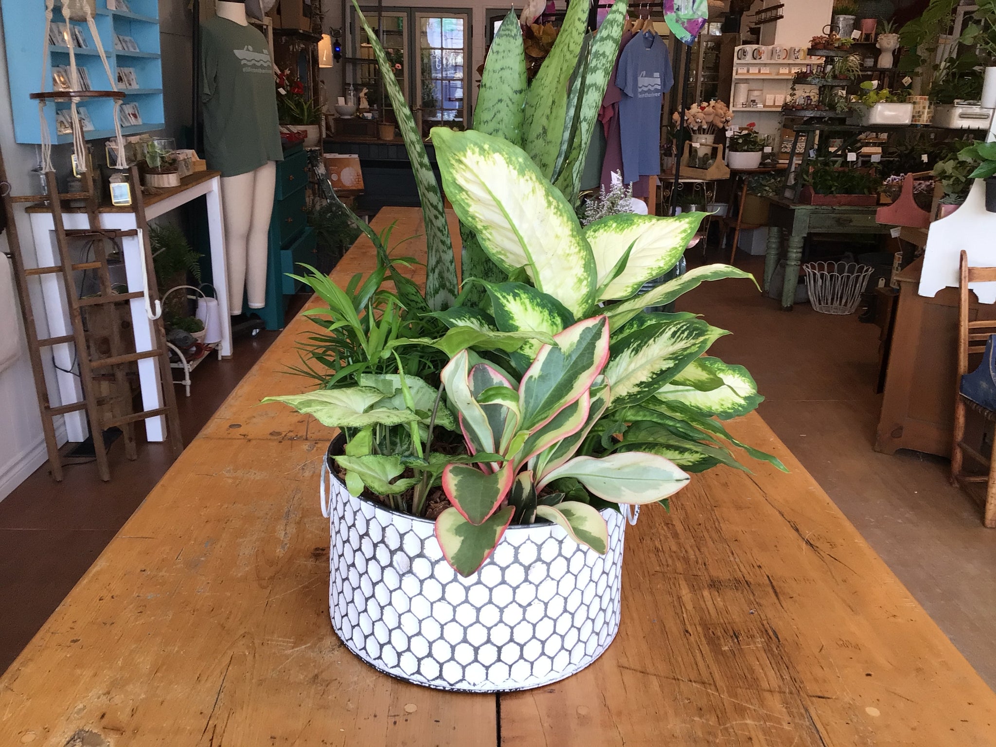 Tin Planter