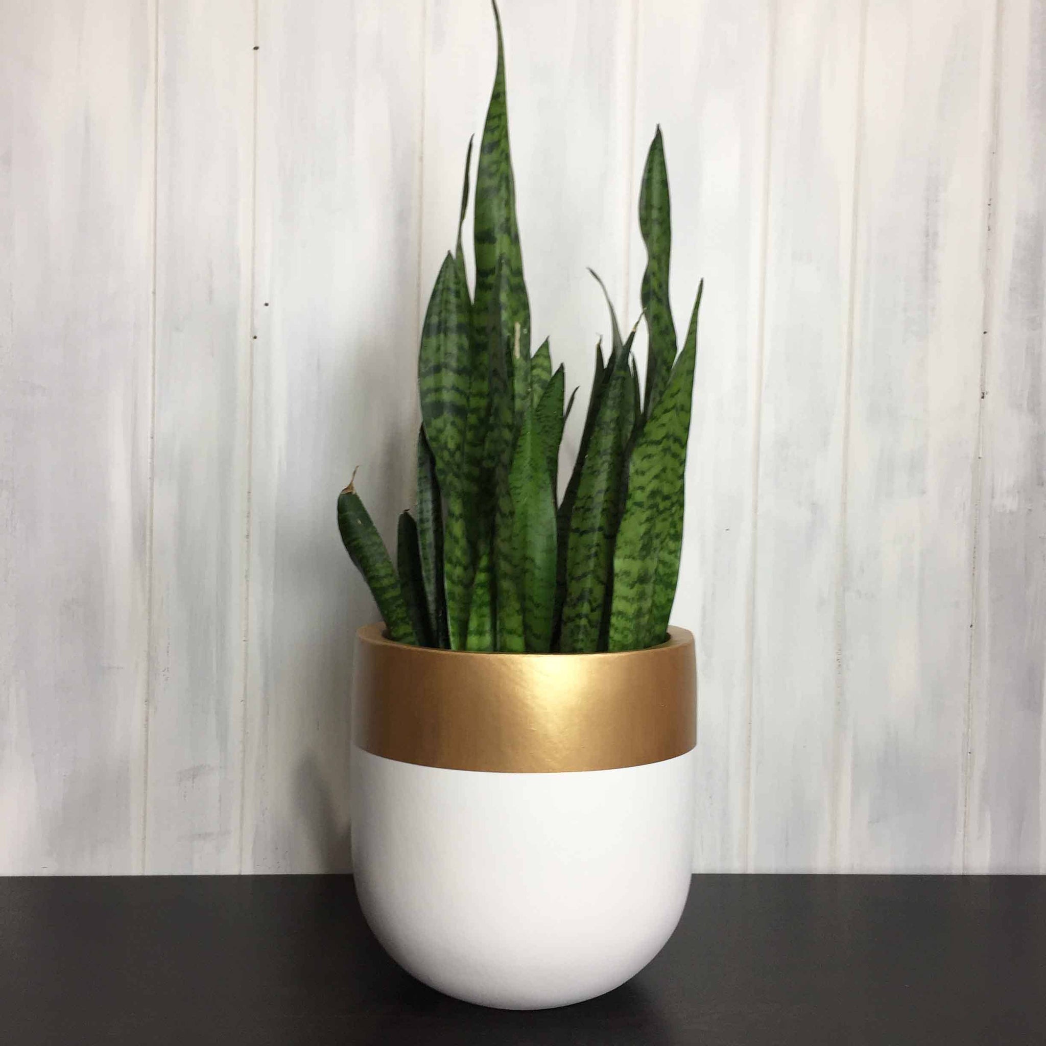 AURUM POT | PLANTER