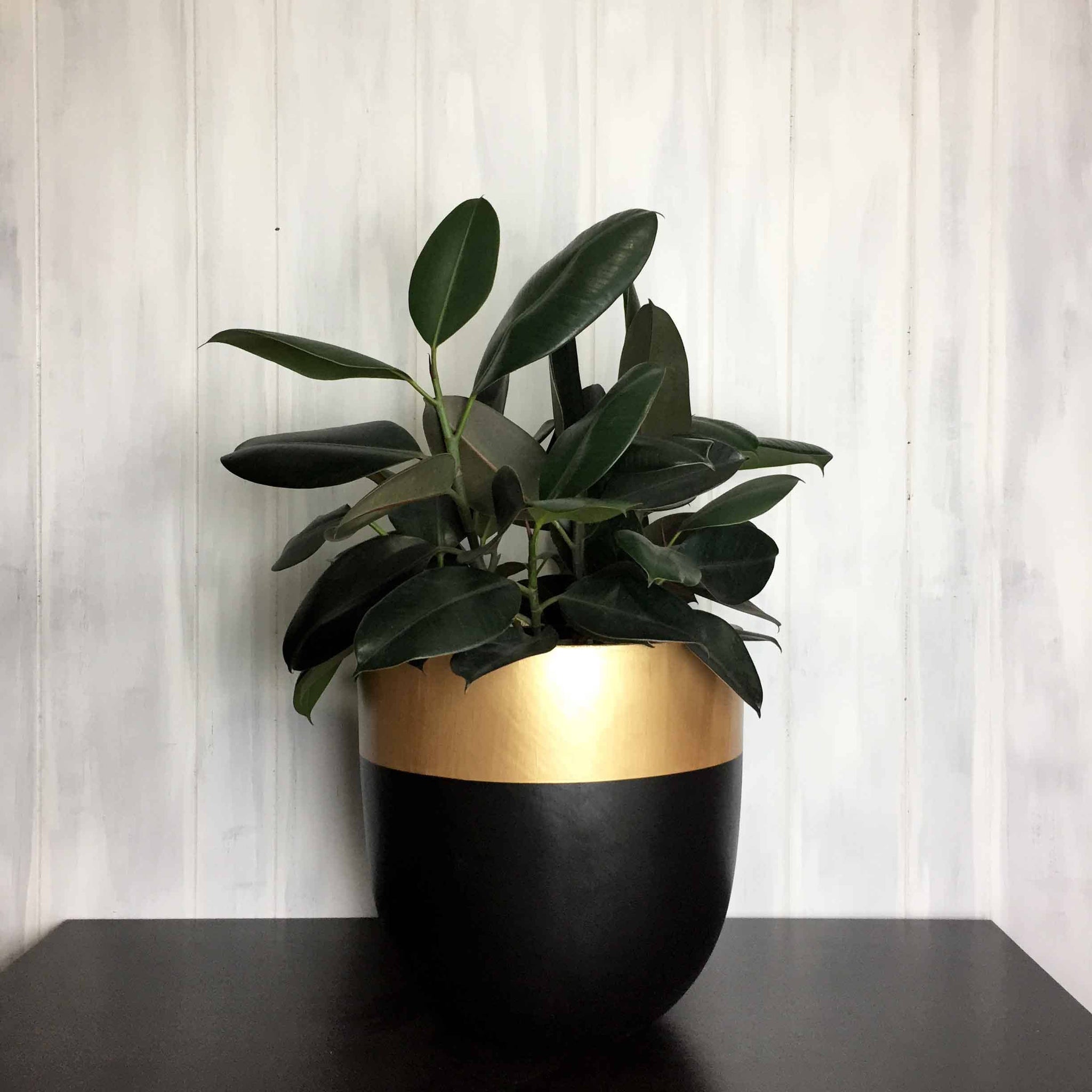 AURUM POT | PLANTER