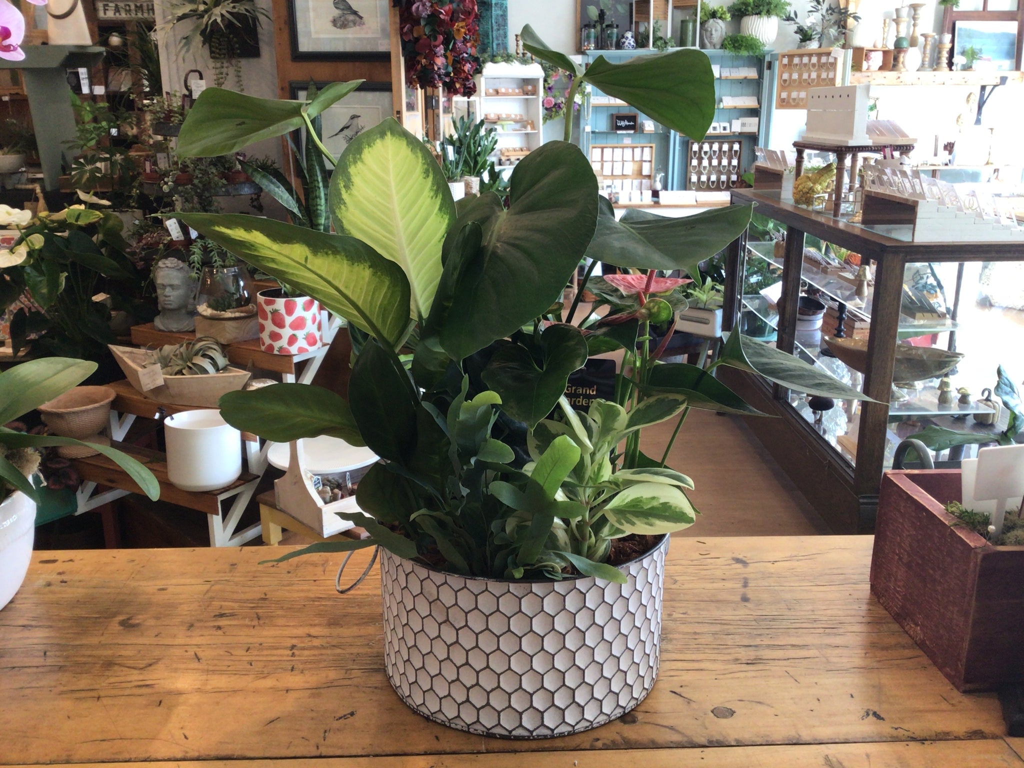 Tin Planter