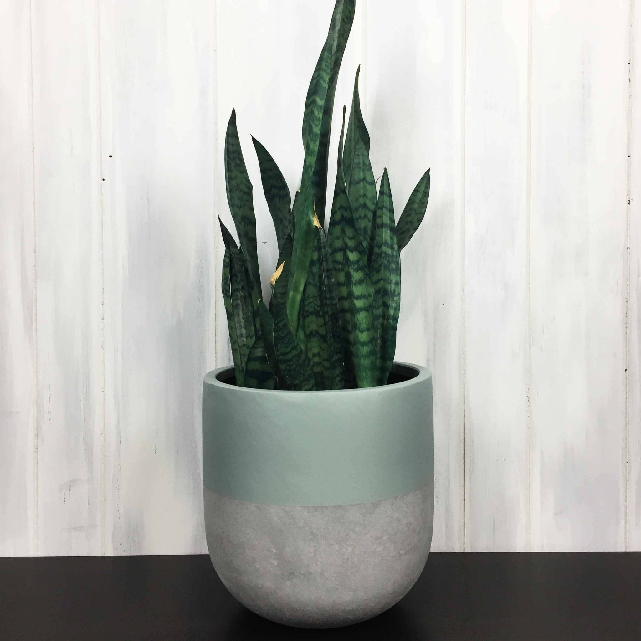 SPLIT POT | PLANTER