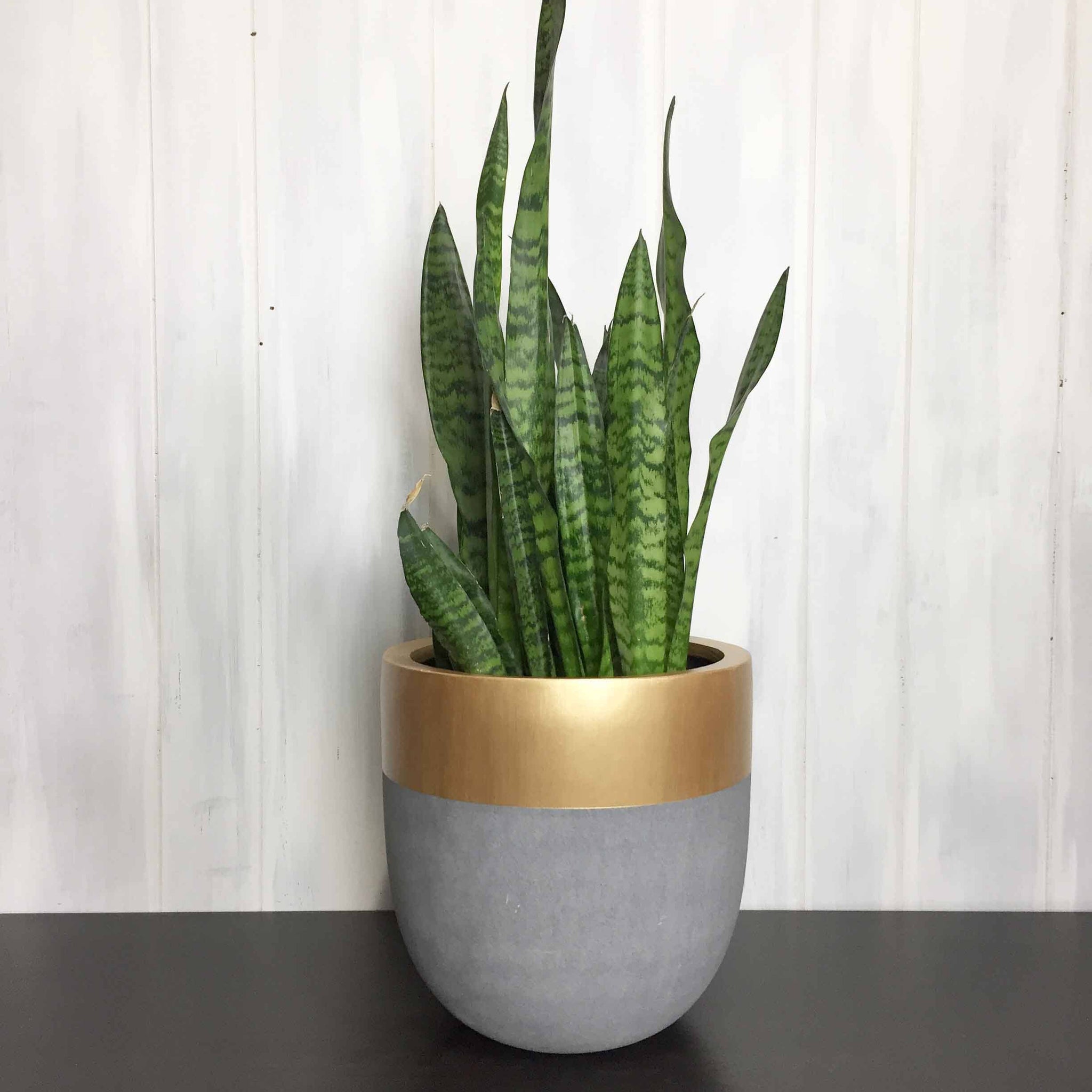 AURUM POT | PLANTER