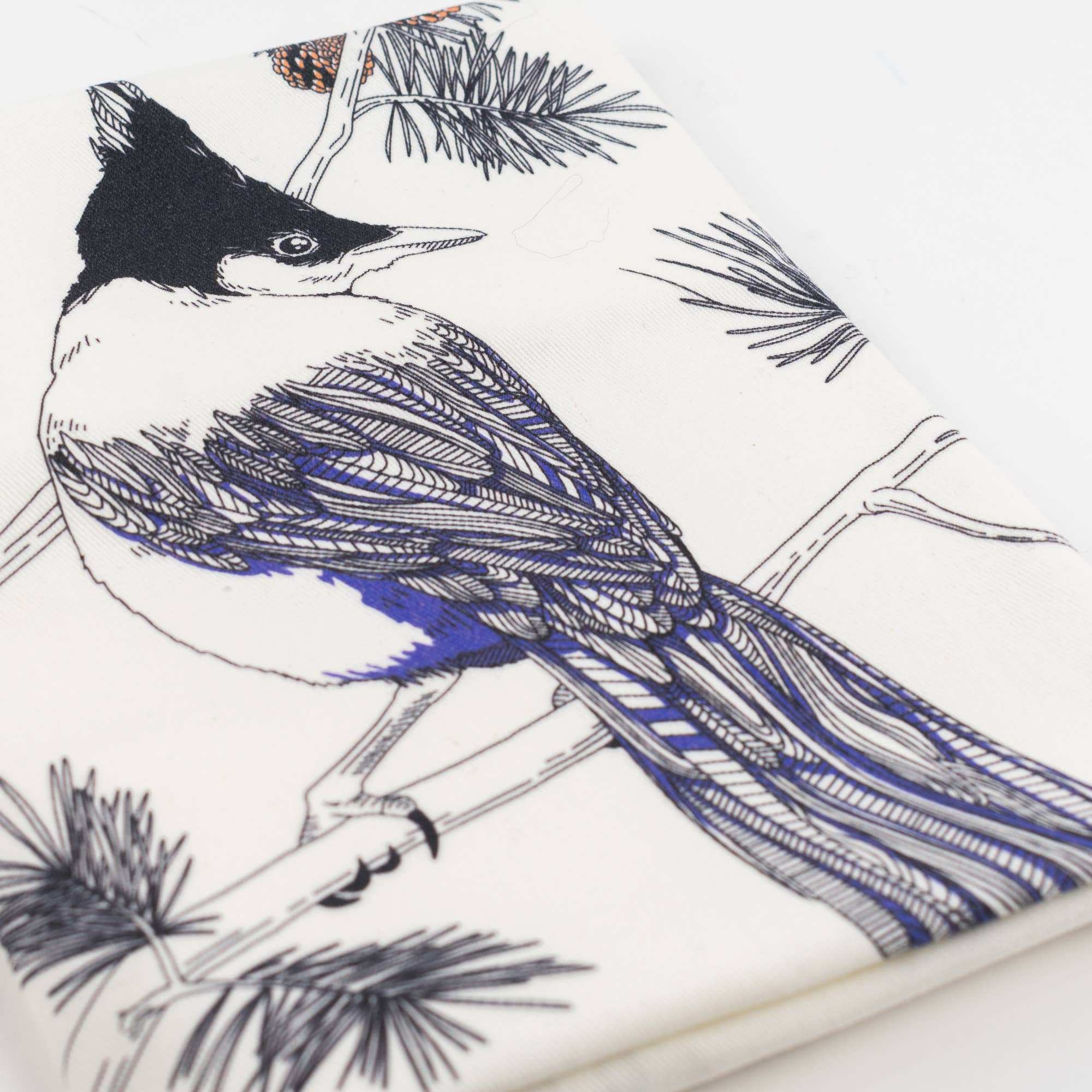 Steller's Jay Tea Towel - West Coast Birds