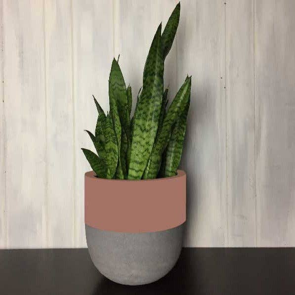 SPLIT POT | PLANTER
