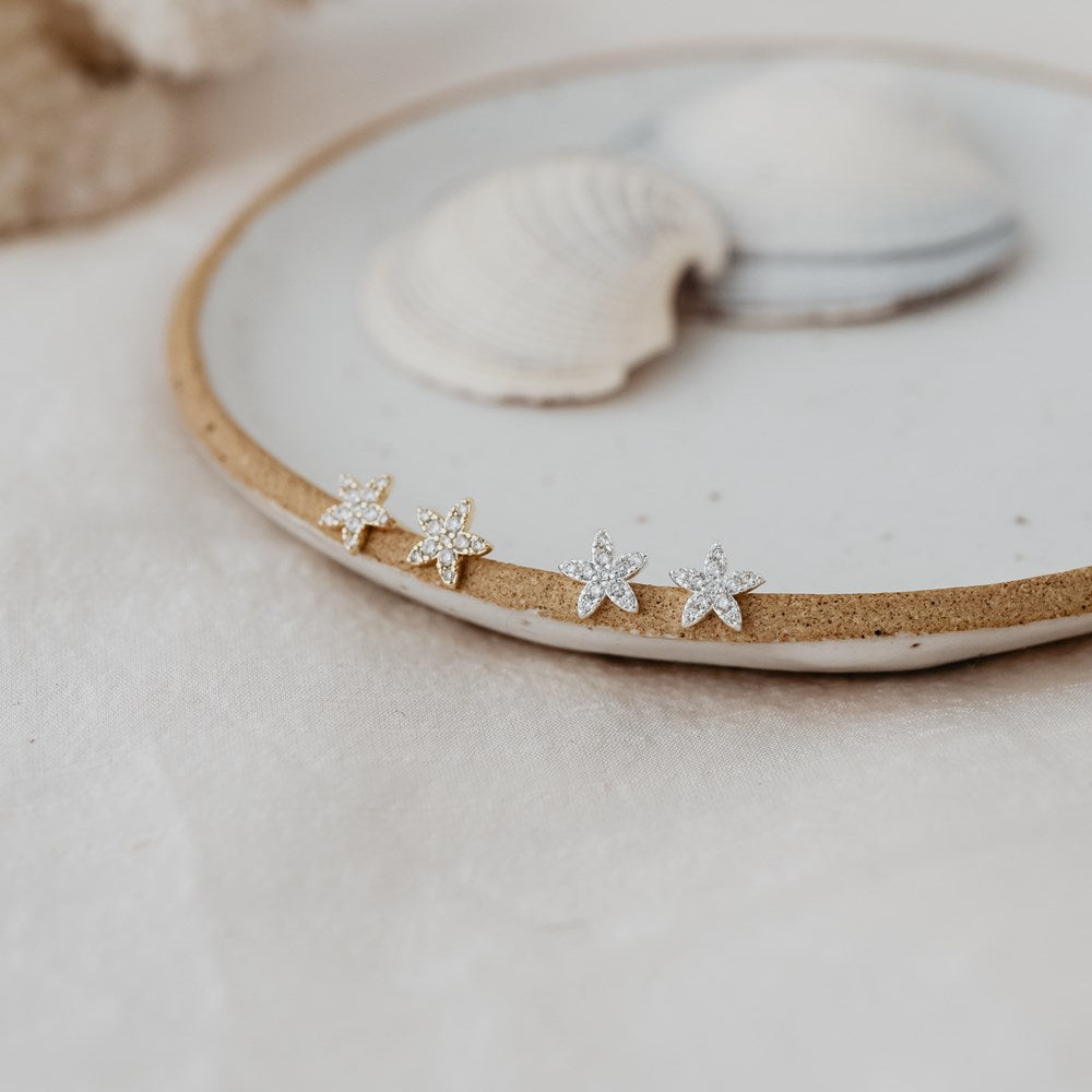 Vibrant Starfish Studs