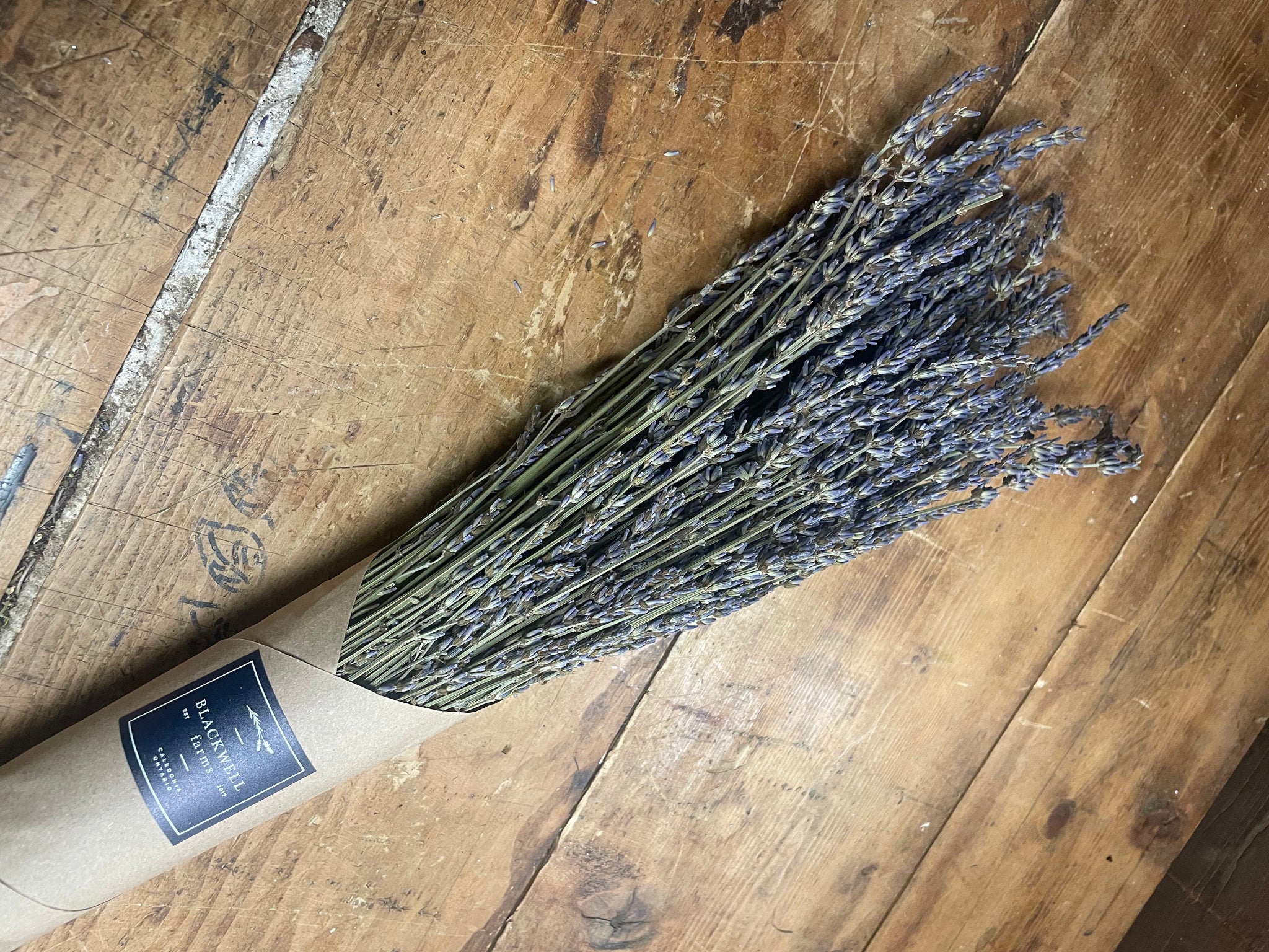 Dried Lavender Bunches