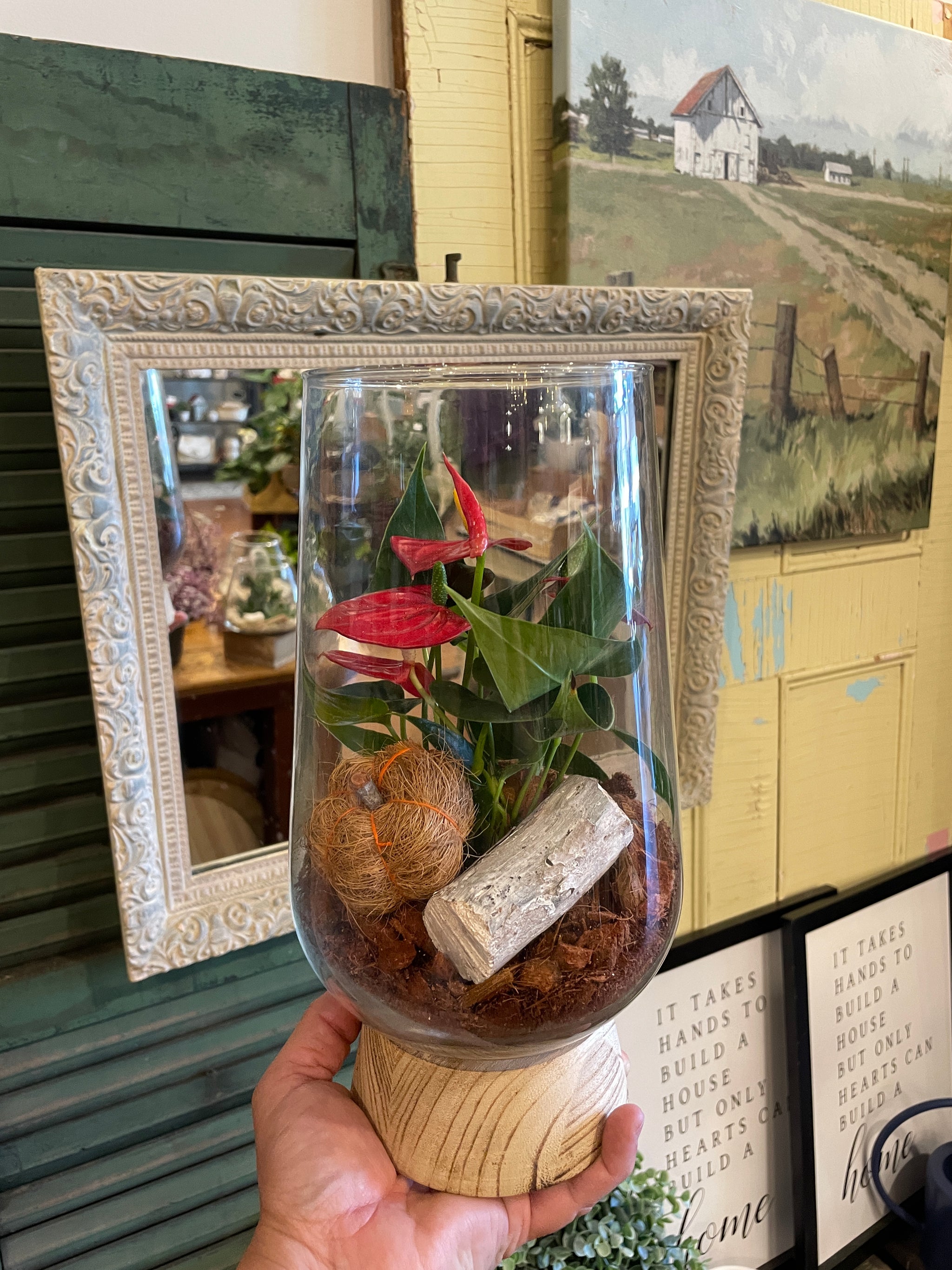 Wooden Base Glass Terrariums