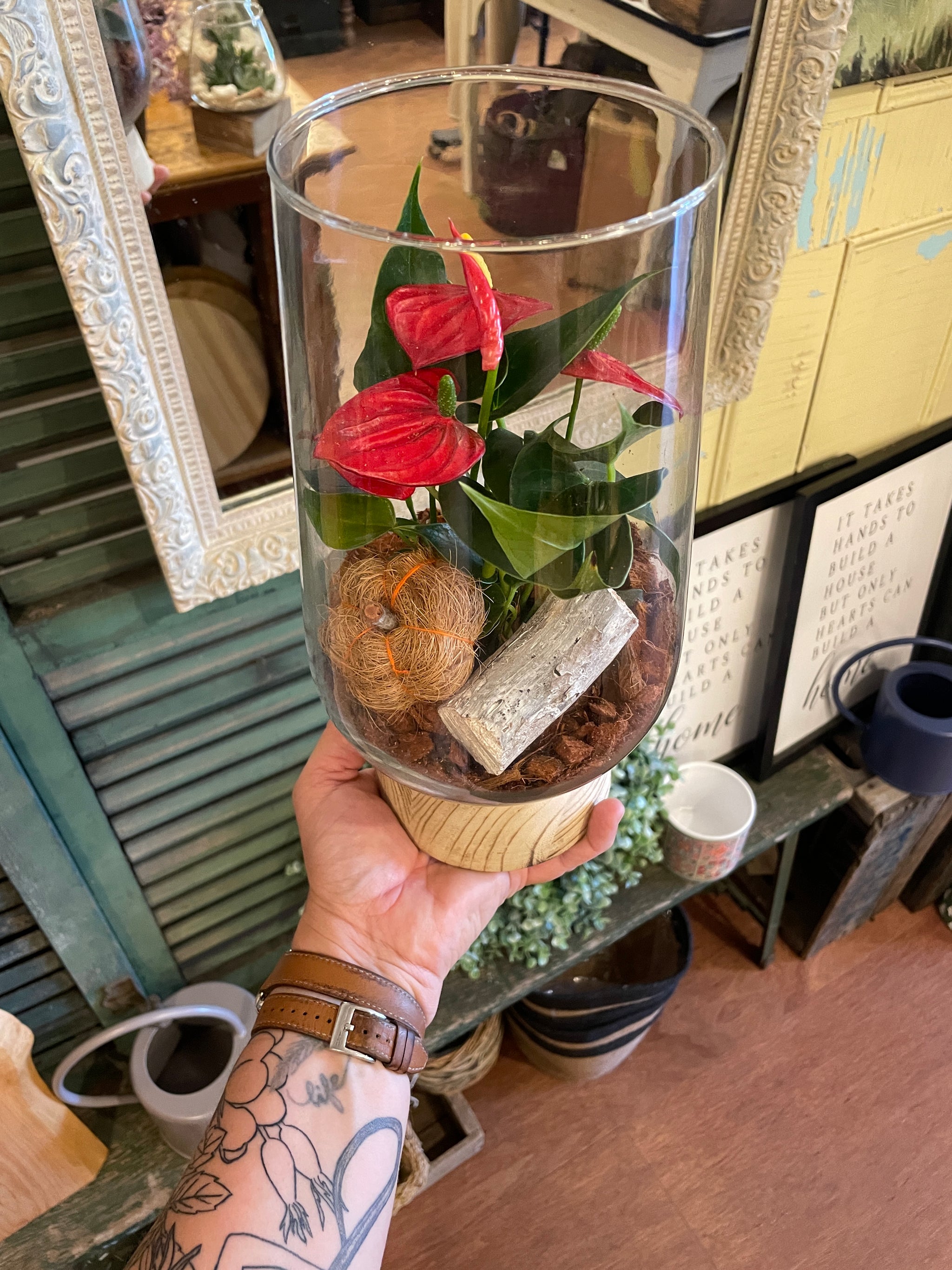 Wooden Base Glass Terrariums