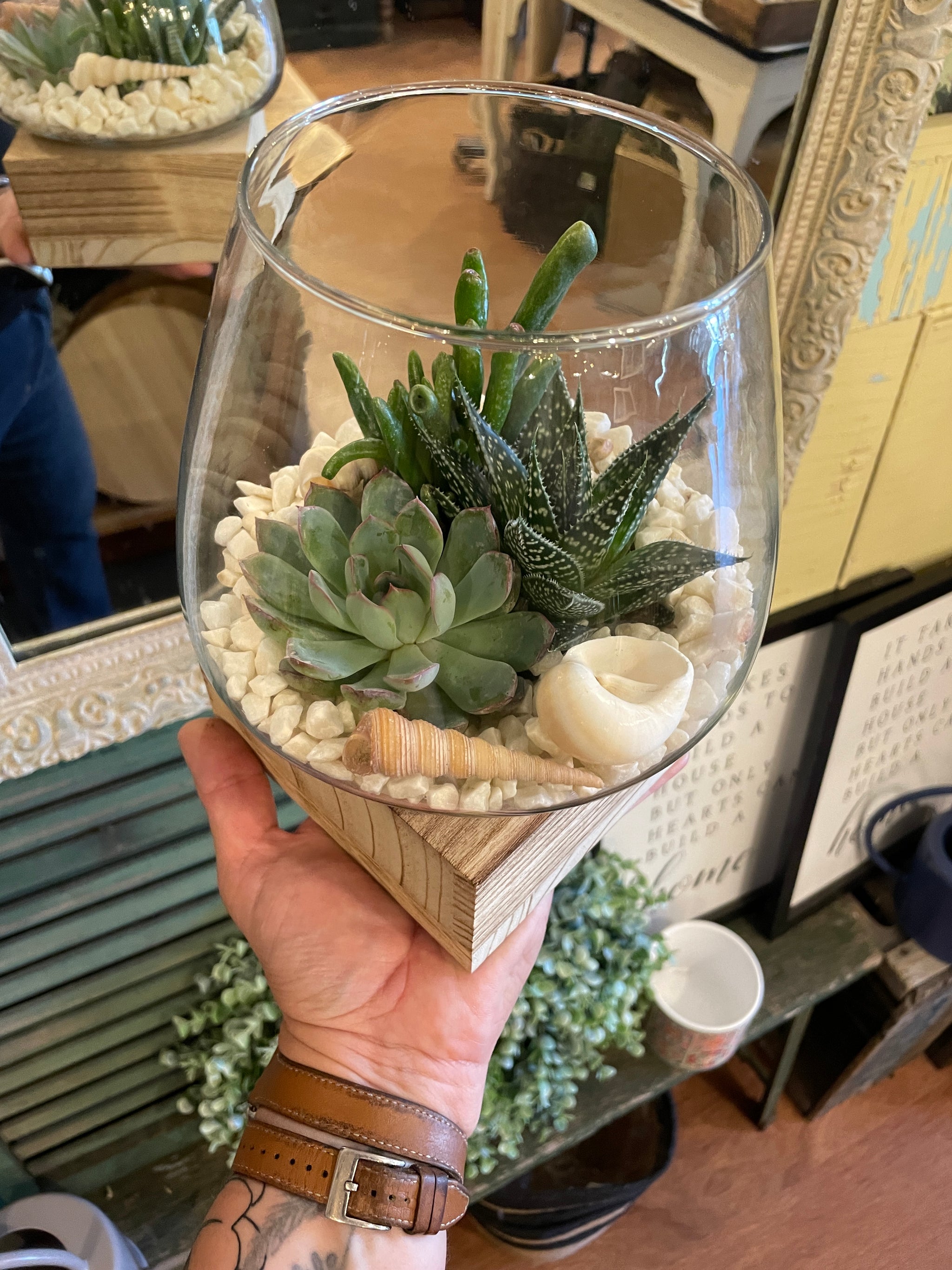 Wooden Base Glass Terrariums