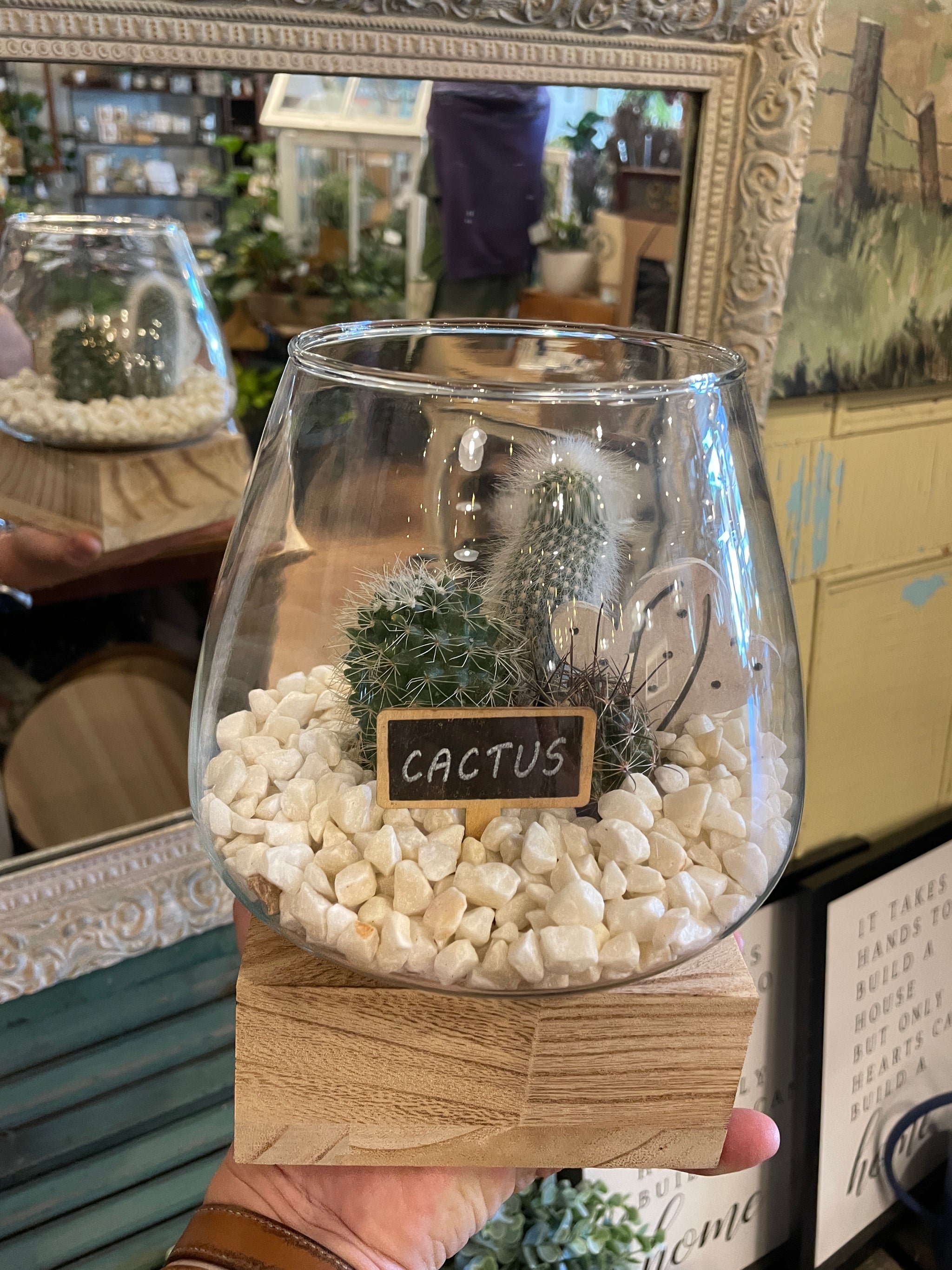 Wooden Base Glass Terrariums
