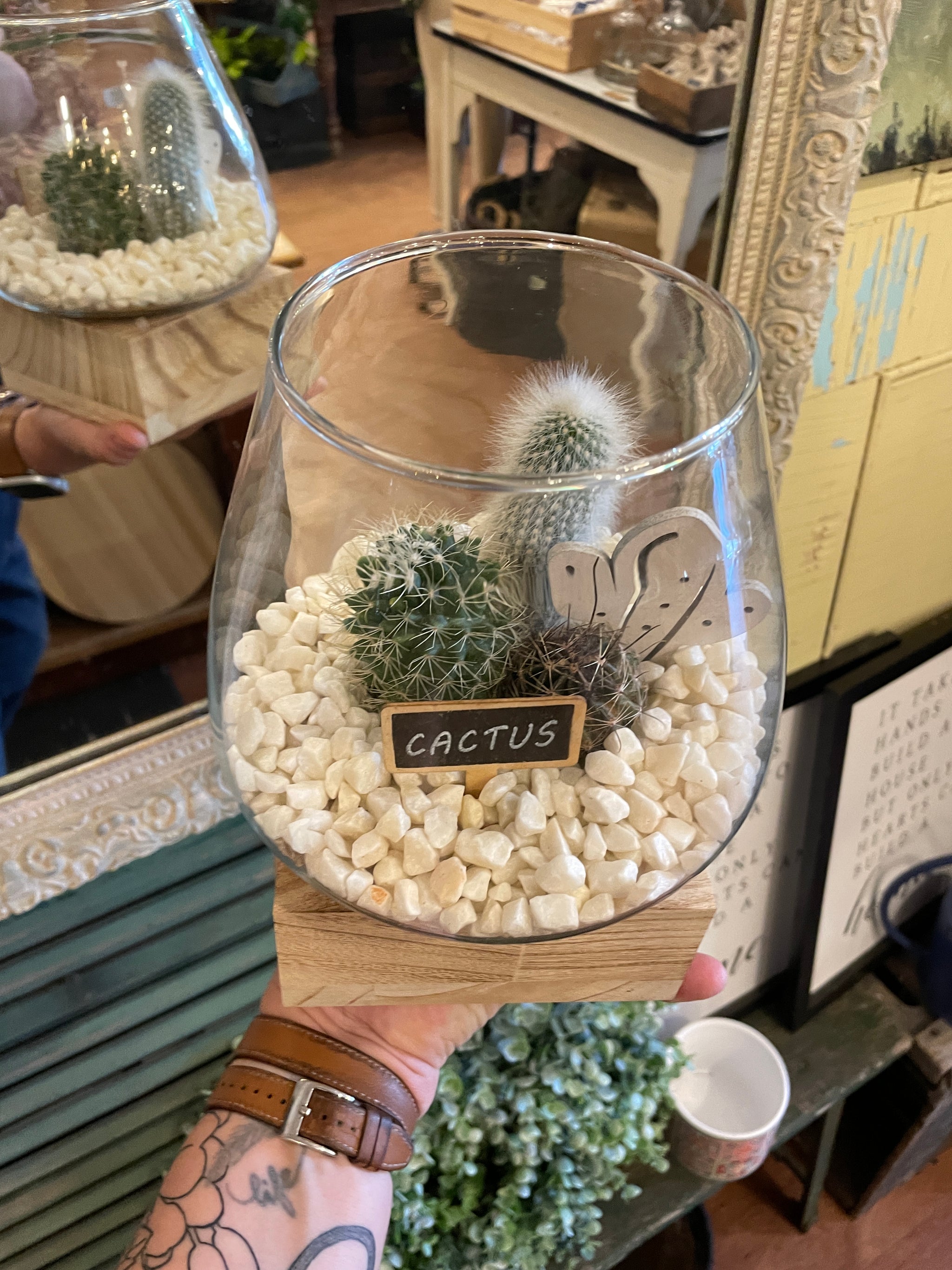 Wooden Base Glass Terrariums