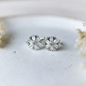 Frosted Hoops