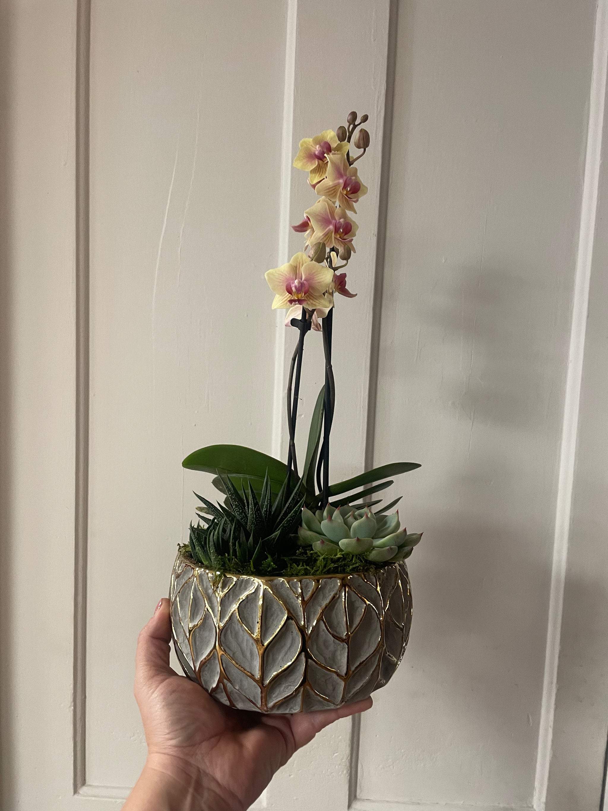 Gold Leaf Succulent Planter with Orchid
