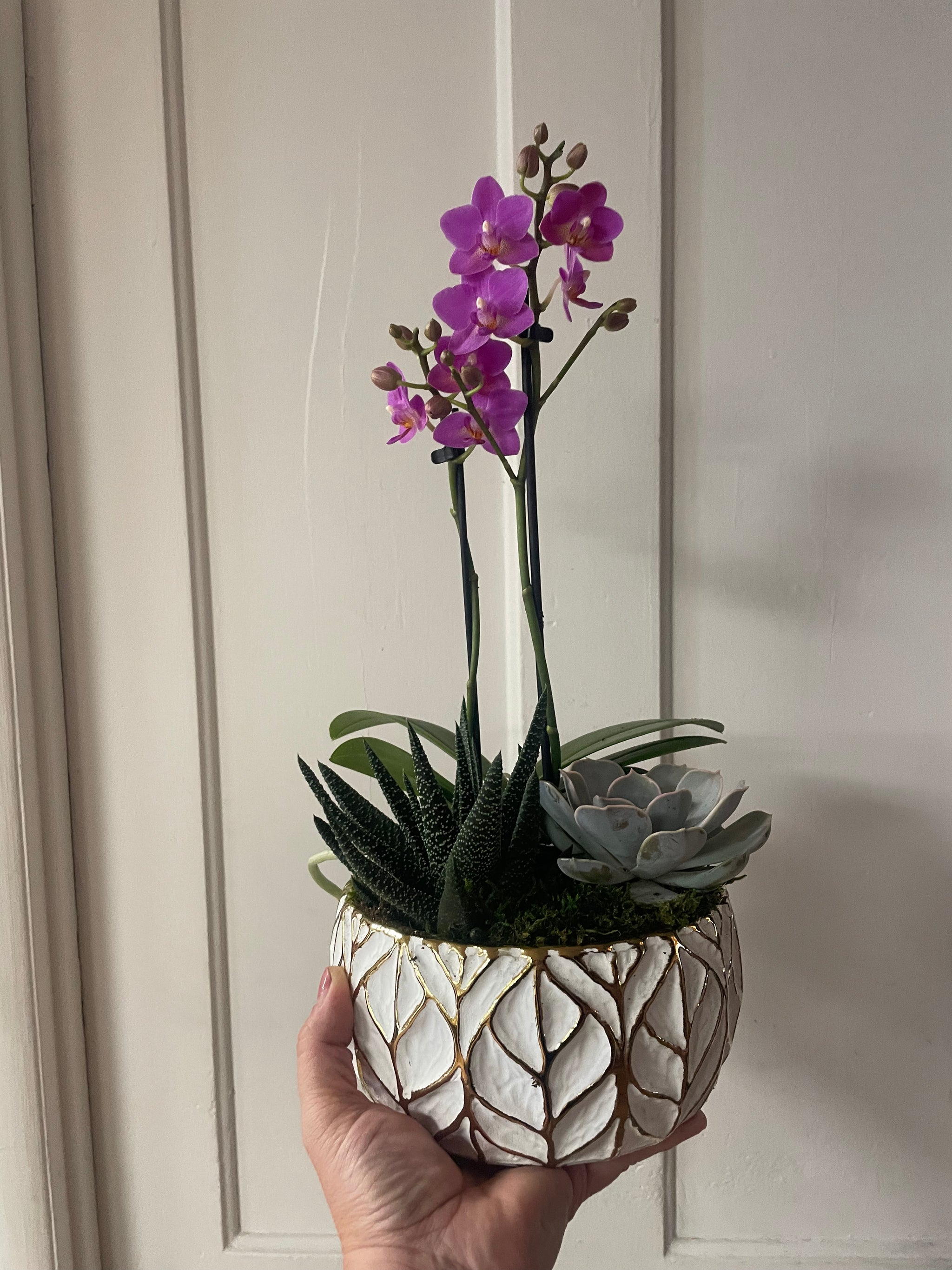 Gold Leaf Succulent Planter with Orchid