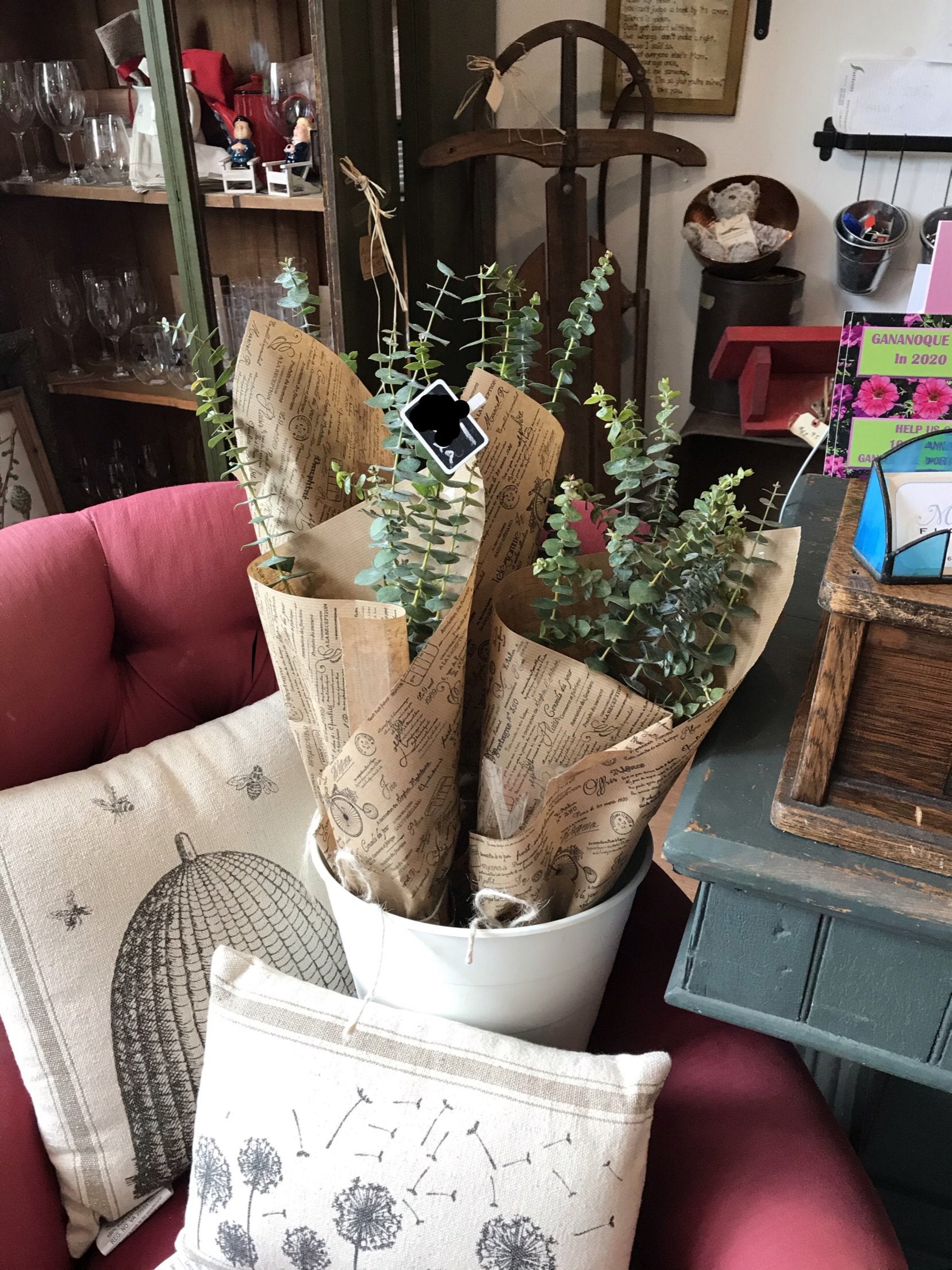 Eucalyptus Bunch