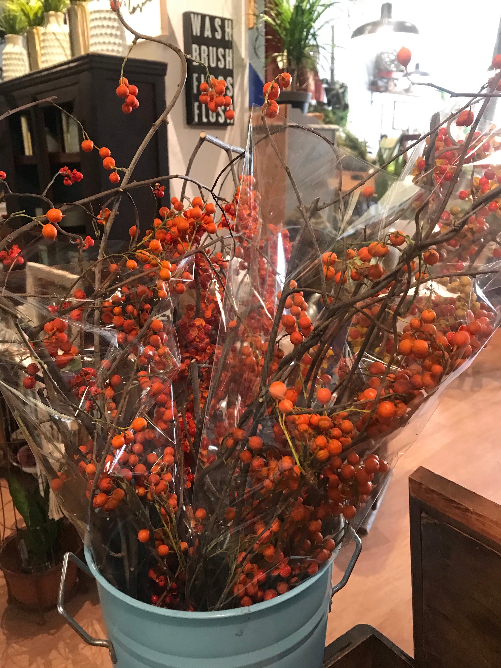 Bittersweet Bunch