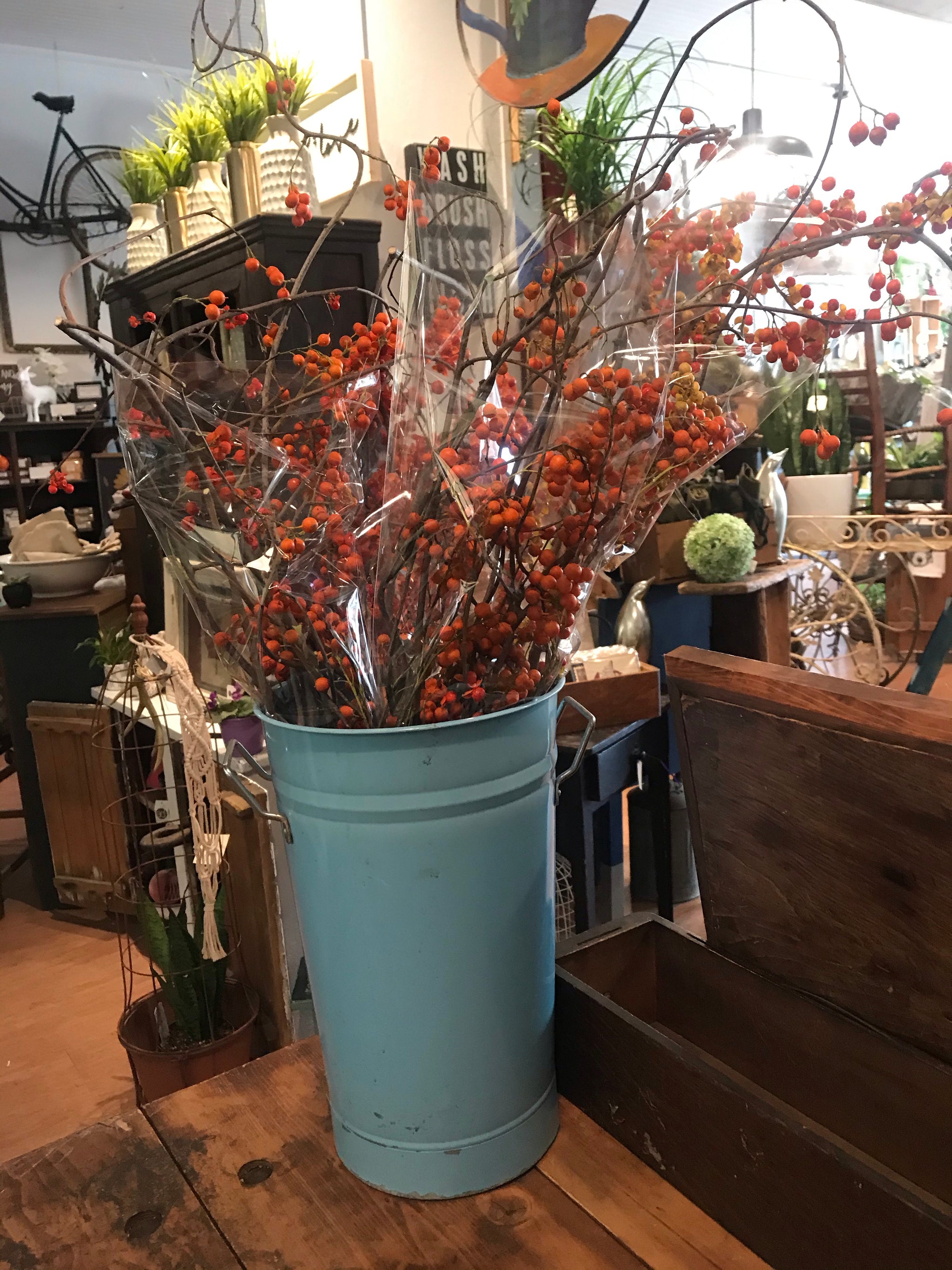 Bittersweet Bunch
