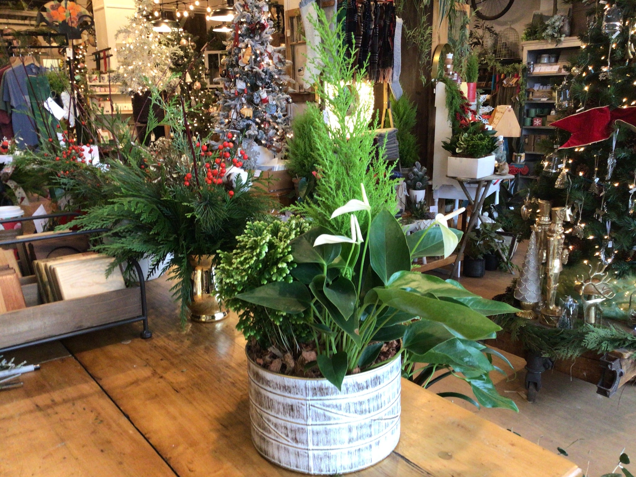 Silent Night Planter