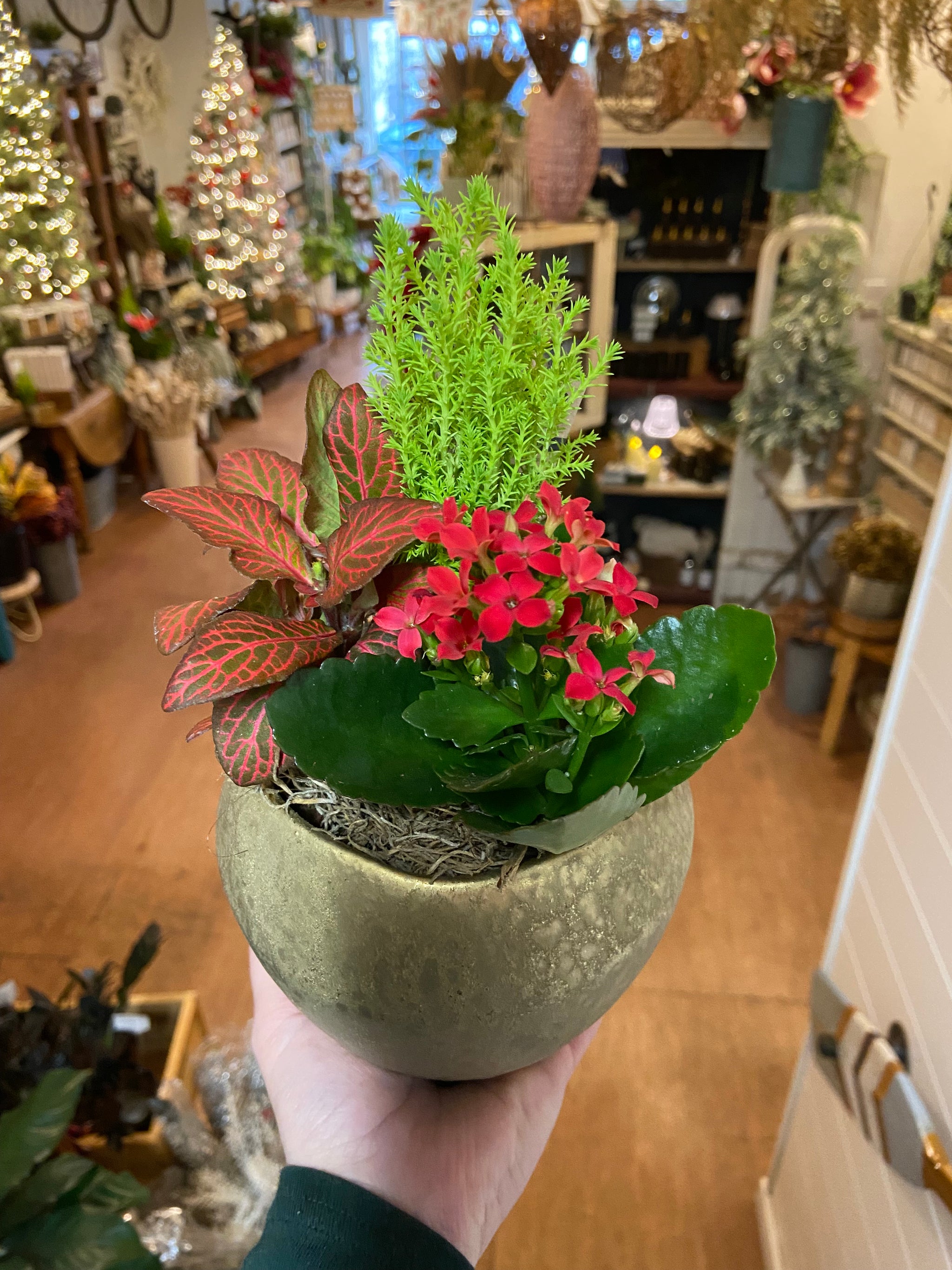 Christmas gold rustic planter