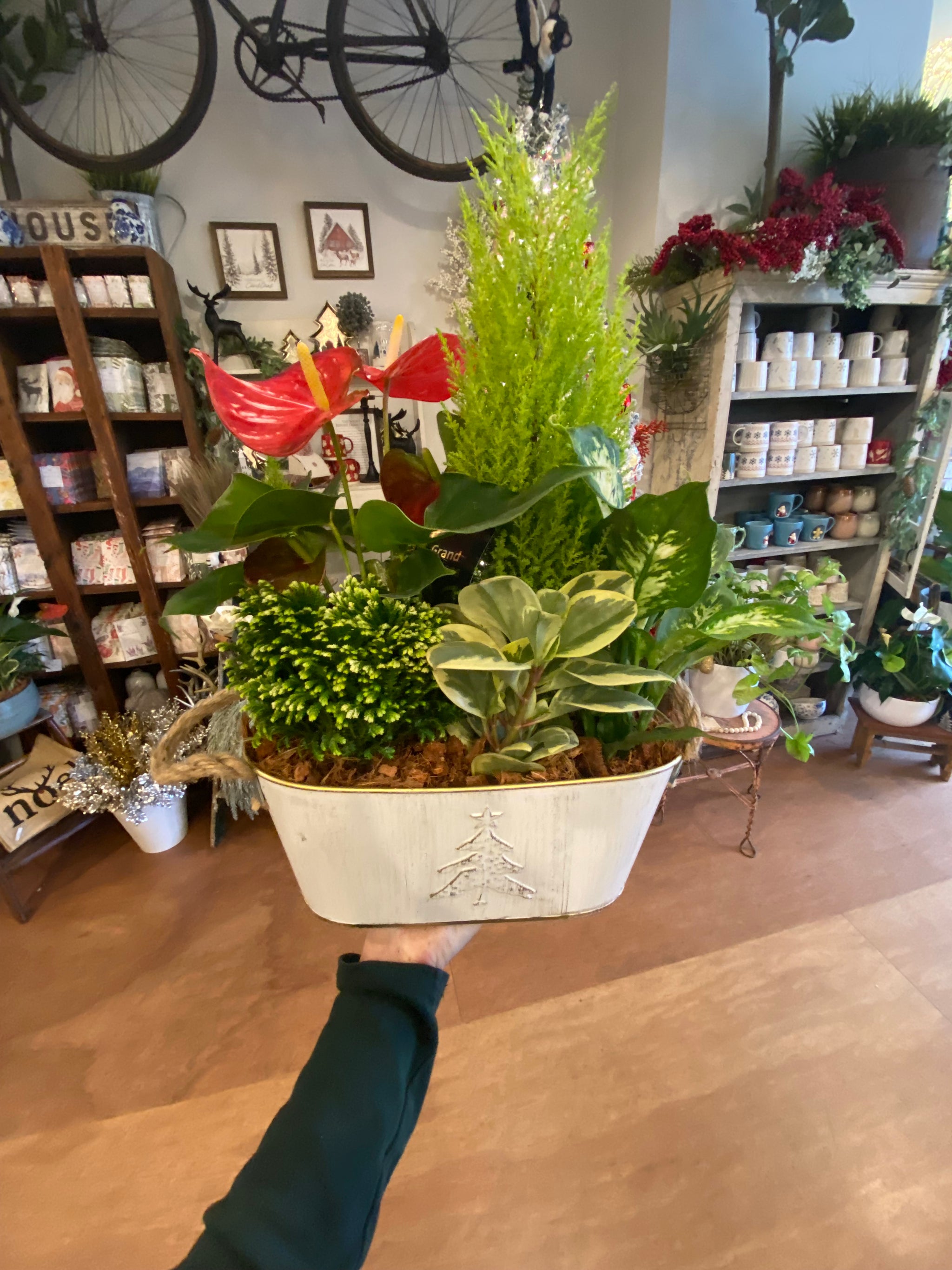 Oh Christmas tree tin planter