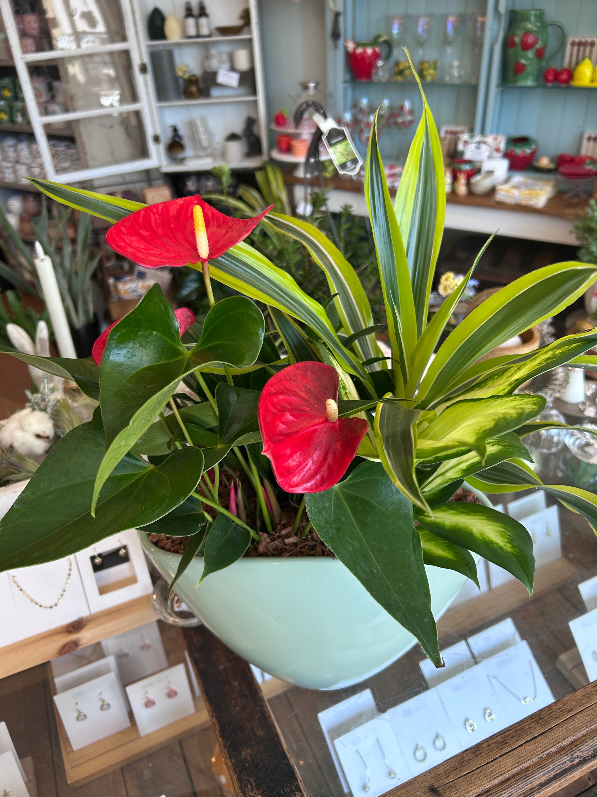 Eillen pastel sage green planter