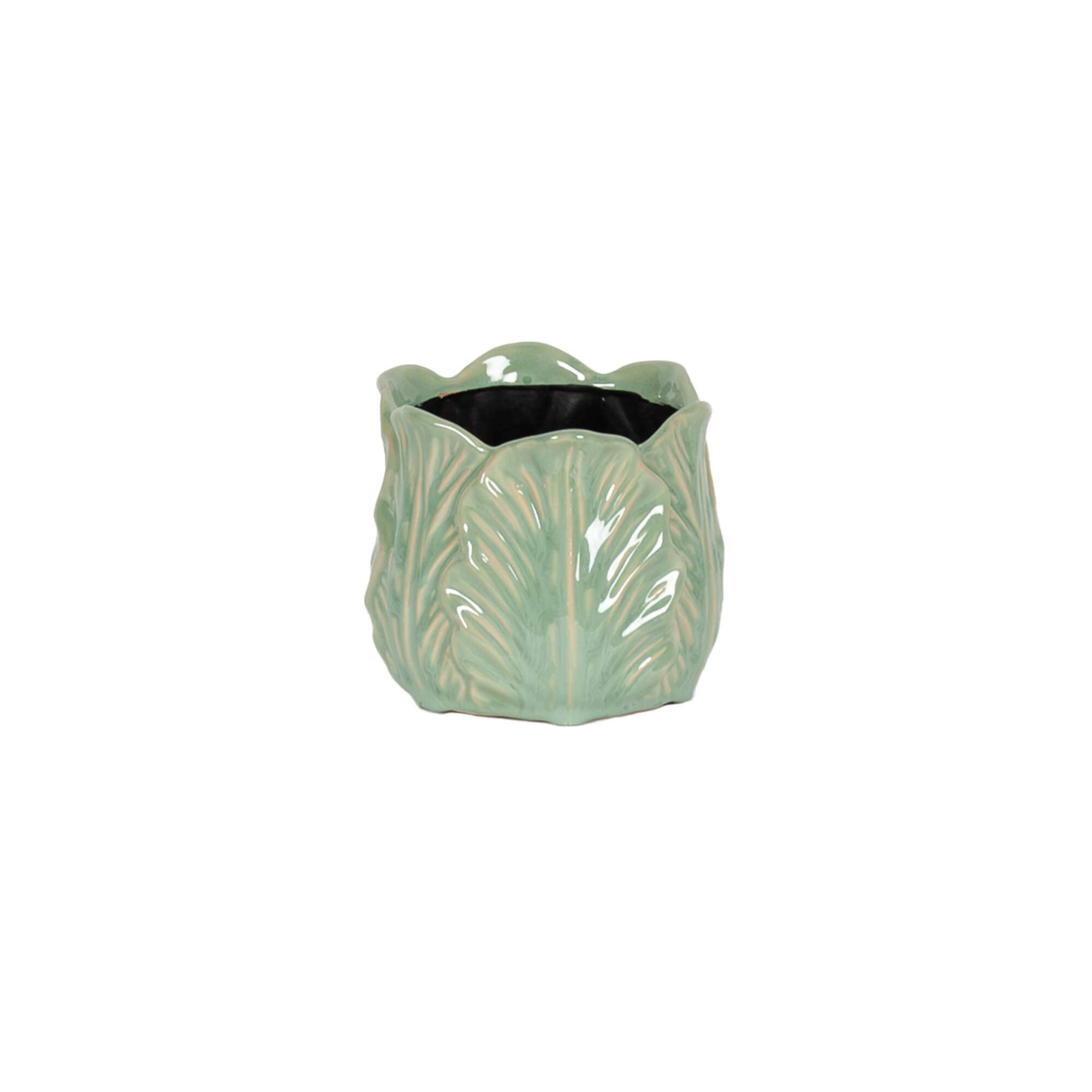 Green Cabbage Pot Small