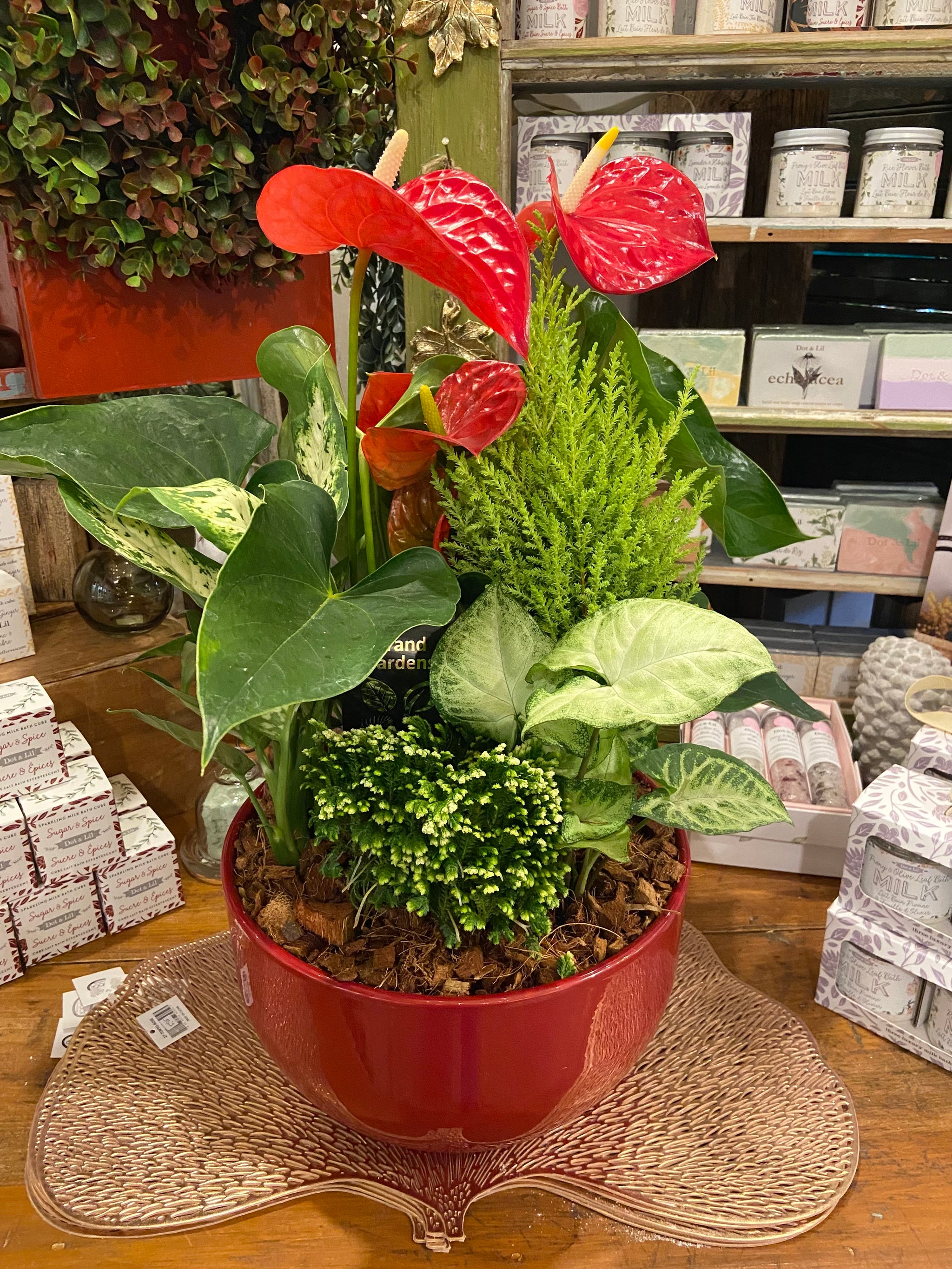 Christmas tropical planter