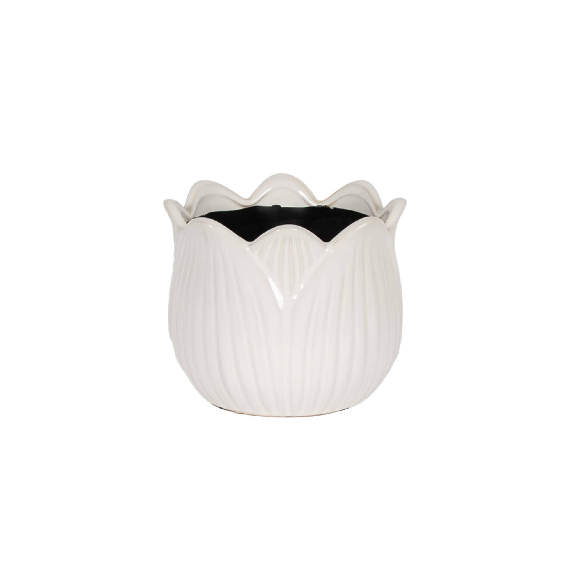 White Tulip Pot Large