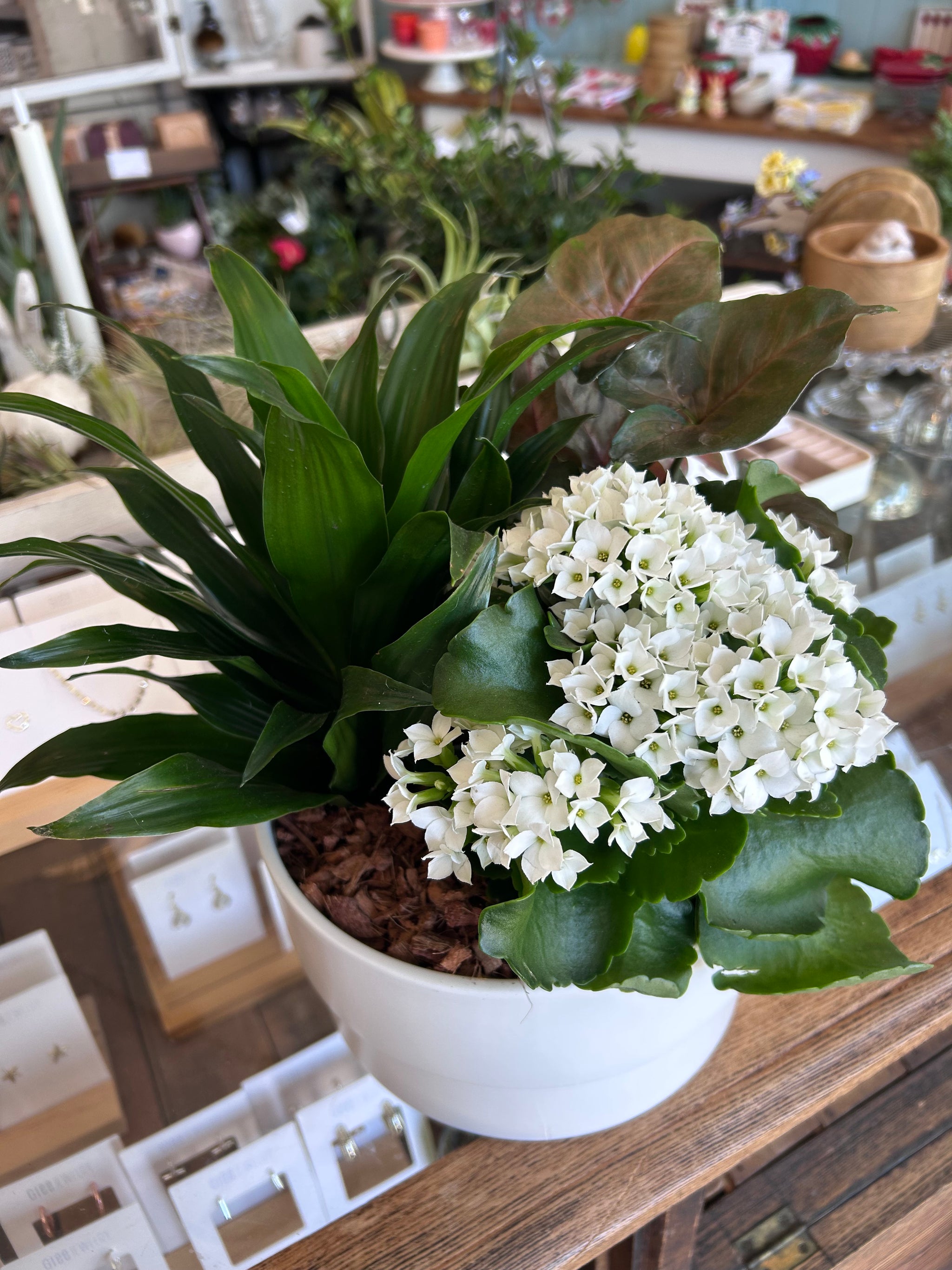 Manon Mixed planter