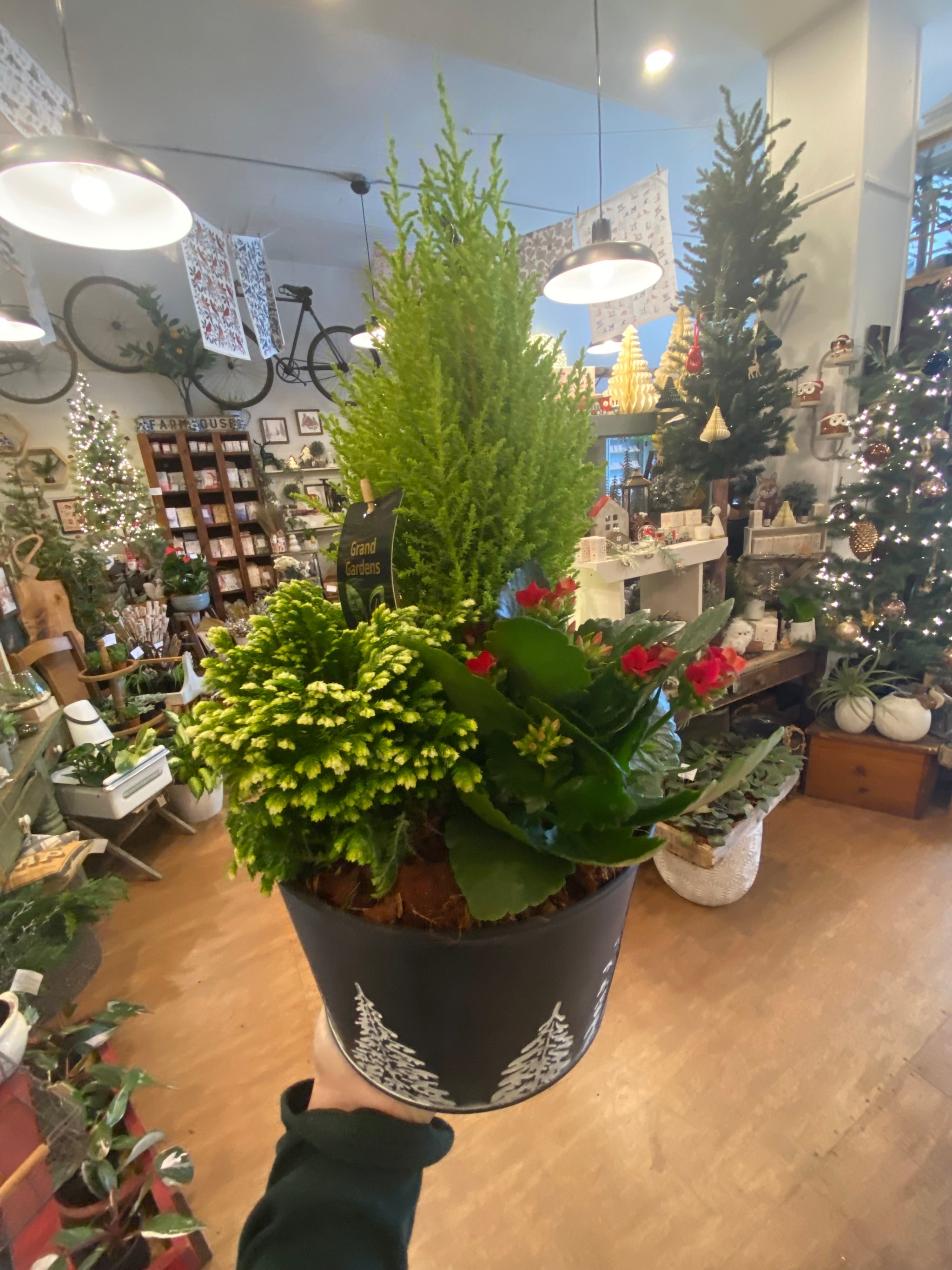 Christmas tree farm planter