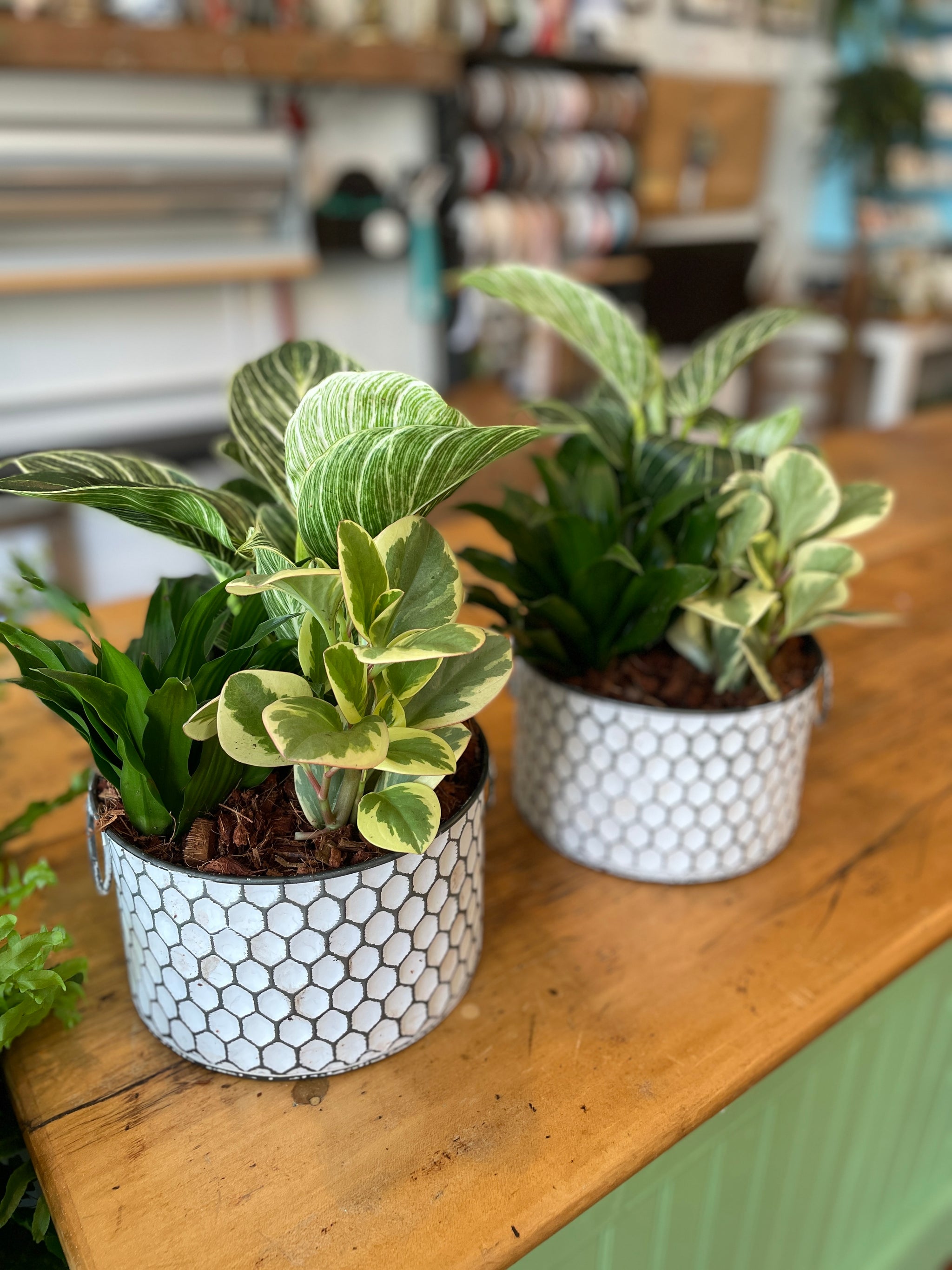 Honeycomb Green Planter