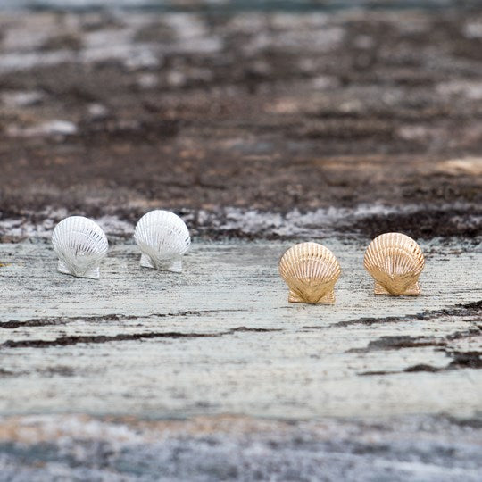 Queen Scallop Studs