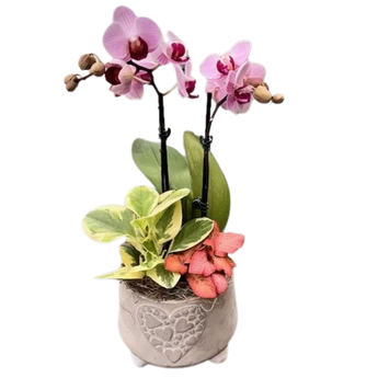 Heart Pedestal Orchid Planter