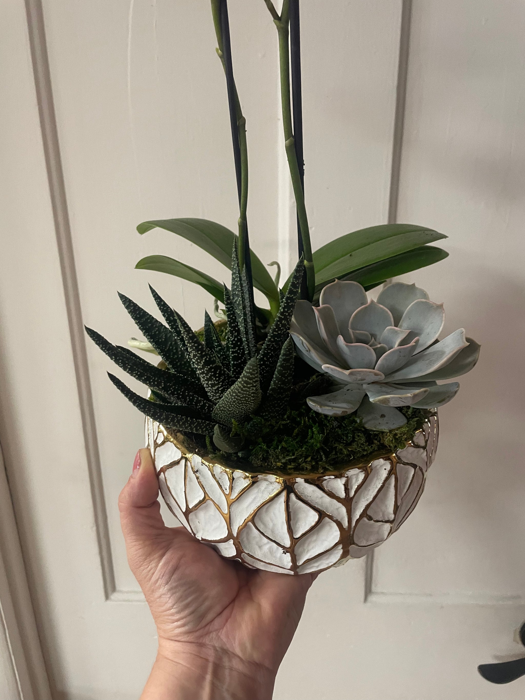 Leaf Succulent Planter with Orchid