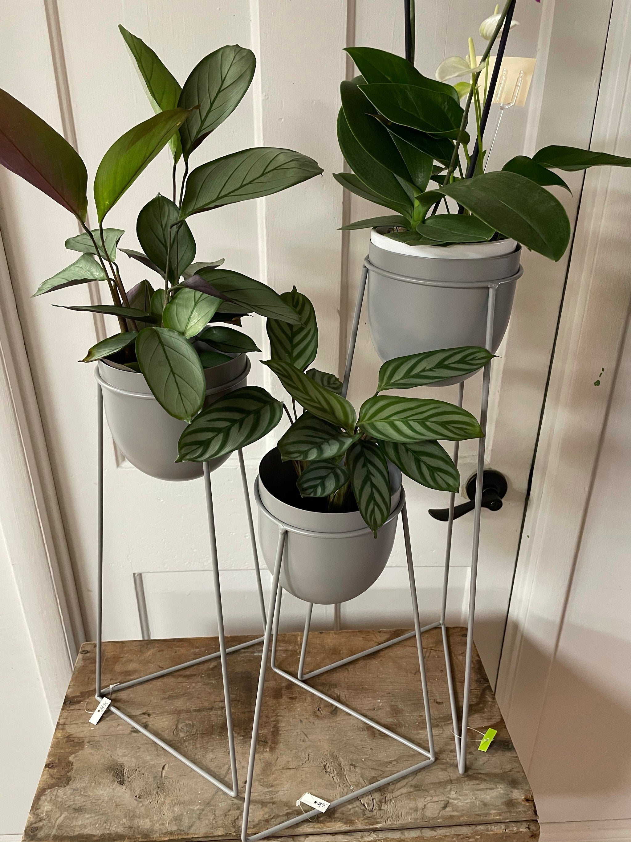 Plant Stand - Metal Grey - Pot and Stand